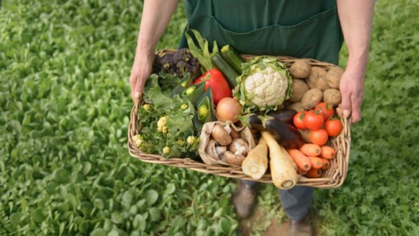 datos curiosos sobre la agricultura en estados unidos