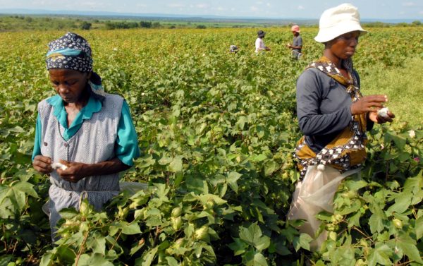 definicion de la palabra agricultura