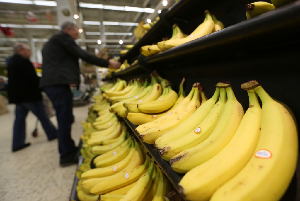 datos estadisticos sobre el cultivo de banano