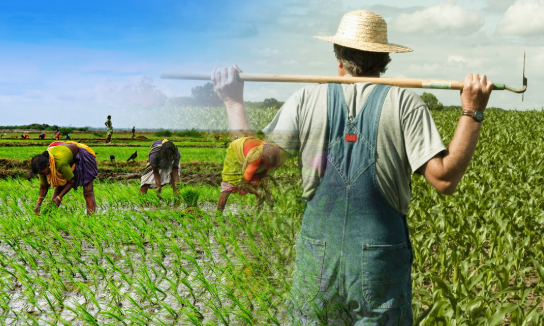 principales paises agricultores en el mundo - hobre campesino