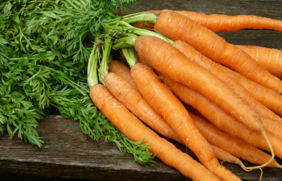 top 10 paises productores de zanahoria