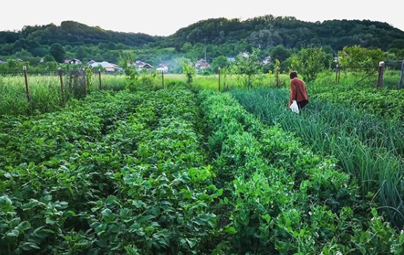 como construir un jardin comunitario