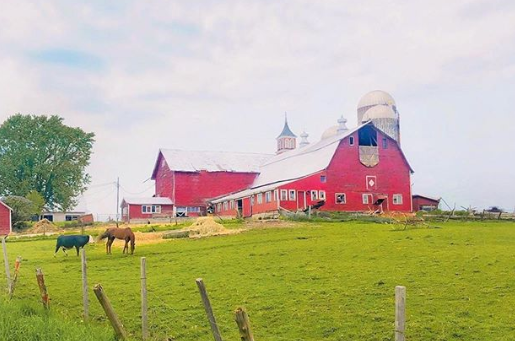 guia completa para iniciar una finca o granja