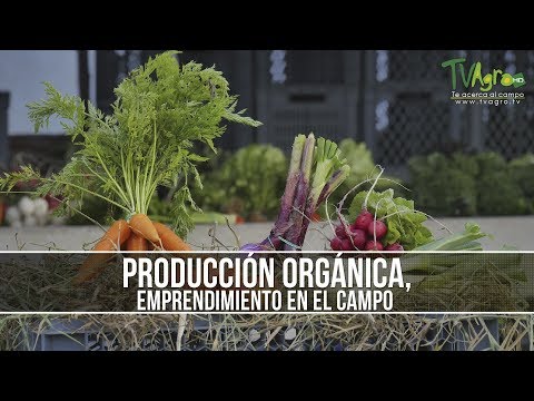 Como Realizar una Agricultura Limpia Sostenible