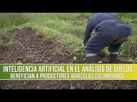 Análisis de Suelos Benefician a Productores Agrícolas