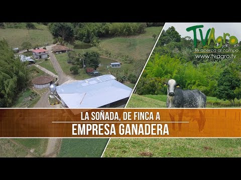 Como Transformar tu Finca a Empresa Ganadera