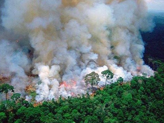 incendio en la amazonia